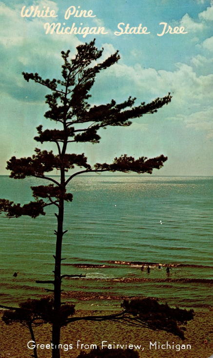 Fairview - Old Postcard
